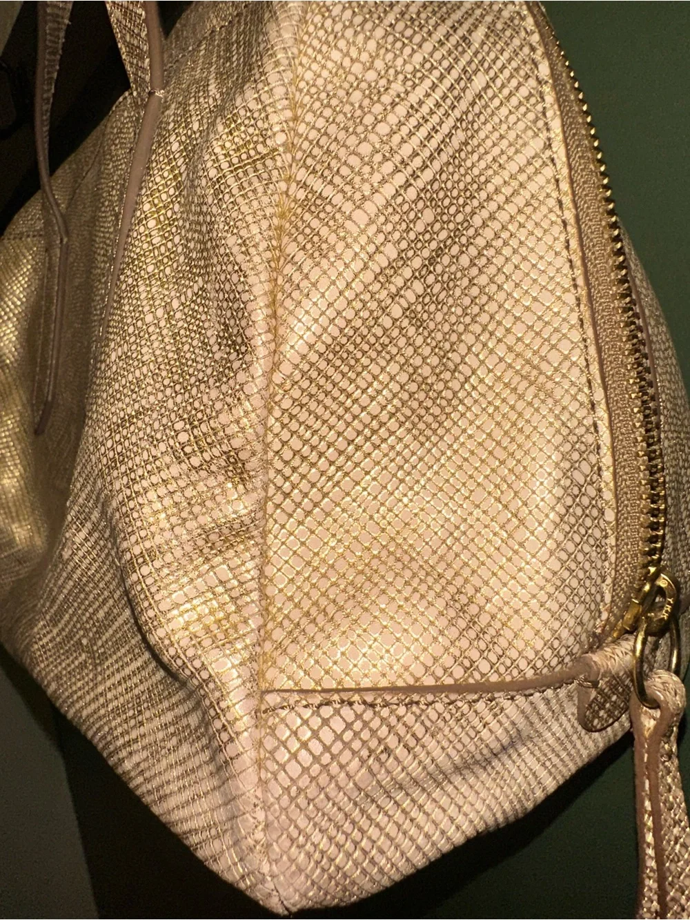 Fossil material genuine